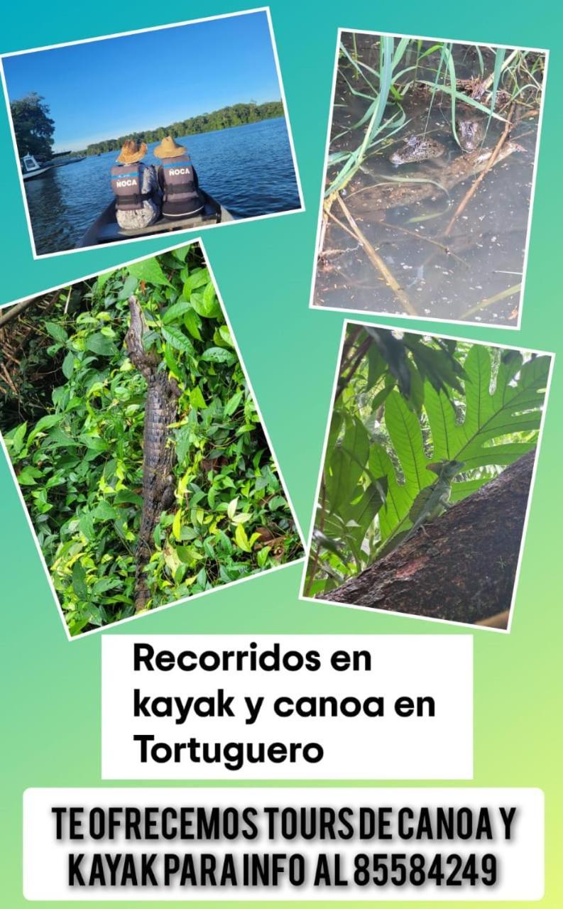 Apartamentos Caiman 3 Tortuguero Eksteriør bilde